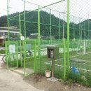 양양군 서면 풋살구장 Daum카페