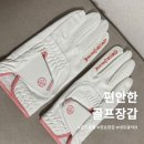 네오골프연습장 | 여성 골프장갑 추천 네오글러브 합피 골프장갑 후기