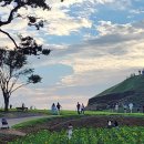 연천 호로고루城-해바라기 축제- 이미지