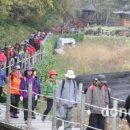 문화마을봉전 이미지