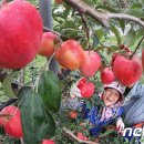 영근농장 이미지