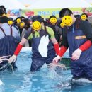 후포대게자망자율공동체 | (경북) 2015 울진대게와 붉은 대게 축제(울진군 후포항)