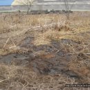 국일농장 이미지