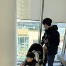 아사달돼지갈비 | [경주] 한화리조트 담톤 디럭스(모던_호텔형) / 뽀로로아쿠아빌리지 경주여행 part 3