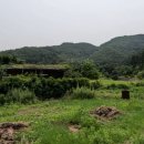 미로초 천기분교장 네이버블로그