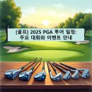 플레이어스글로벌 | [골프] 2025 PGA 투어 일정: 주요 대회와 이벤트 안내