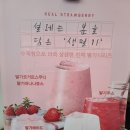 광주 신안동 카페 엔레브커피 ENREVE COFFEE