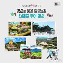 양지천 마평동 이미지