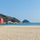 2024 봄의왈츠 이미지