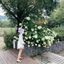 파주 가볼만한곳 지혜의숲 / 헤이리예술마을 / 파주 츄러스카페 츄로바