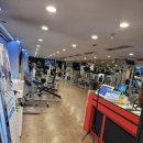 리볼트짐 이미지