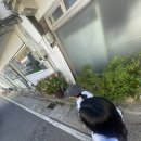 아산 아랑 여행