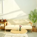 선렌탈스튜디오앤파티룸 네이버블로그