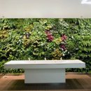 정원인터내셔날 이미지