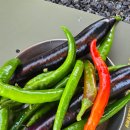 산과 벗 캠핑장 이미지