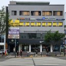 주차08 | 송파 뛰댕이 애견 실내놀이터 뚜비랑 방문했어요!