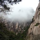 금조마트 이미지