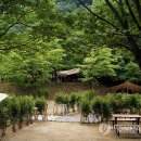 금대자동차야영장(치악산국립공원) 이미지