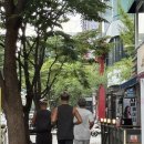 만도플라자원주점 | 제주도를 빼도 특별한 일상일 수 있었네