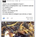 [약혐] 인간불신 걸리게 만드는 중국집들