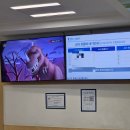 세브란스약국 | 31개월 아기 태아수신증 경과 세브란스 어린이병원 핵의학검사