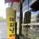 해피냥 | 전주송천동고양이카페 이렇게 다양하다고? 직접 다녀온 솔직후기