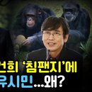 윤석열·김건희 침팬지에 비유한 유시민 이미지