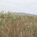 [3편] 2025년11월8일 토요일 서해랑길 32코스를 다녀와서! 이미지