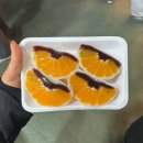 남원읍-73 | 대구공항에서 제주도 서귀포여행 2박3일 코스 &amp; 일정 경비 총정리