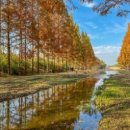 천년카페 이미지