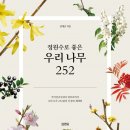 252 이미지