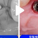 건플란트치과의원 이미지