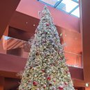 스카렛 | 서울 근교 대형 트리 카페 | 스코그 | 광주 카페 추천 | 아기랑 카페