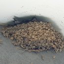 애니카랜드 영종점 이미지