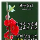 샬롬 Daum카페