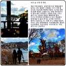 다산숲 이미지