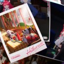 (주)마이다스게임즈 이미지