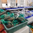 신도바다역 이미지