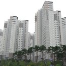 신안단지내공인중개사사무소 이미지