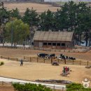 고창농원 이미지