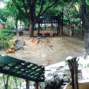 새꿈어린이공원 이미지