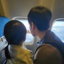 고성2119 | 두돌아기랑 제주도 4박5일 애견동반여행 - 1일차