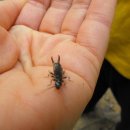 옥련초등학교 입구 이미지