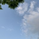 하루분식 이미지