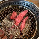 강남 한우 오마카세 신논현역 송화유수 송화코스 후기