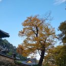 지하철역사(현충원역) 이미지