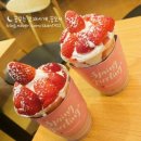 요거프레소 이미지