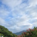 희영축산 네이버블로그