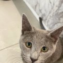 헤어살롱미올 이미지