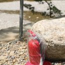 왕피천하늘담 이미지